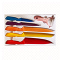 6 PC Kitchen Knife Set Stainless steel - Multicolored