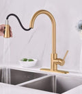 Euro_Gold_Pullout_Sink_Tap