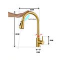 Euro_Gold_Pullout_Sink_Tap