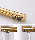 Euro SS Gold Sink Tap