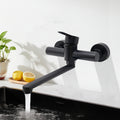 Euro Wall Mount Kitchen Tap Black SS 