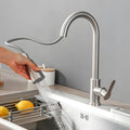 Rhodes Pullout Kitchen Silver Tap