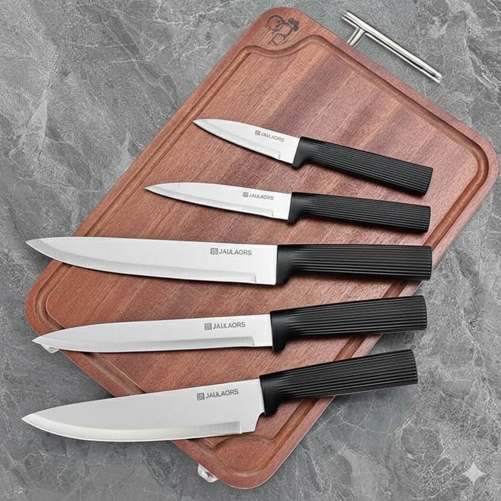 JAULAORS 6 Piece Kitchen Knife Set with Compact Holder